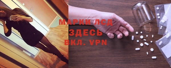 стаф Алексин