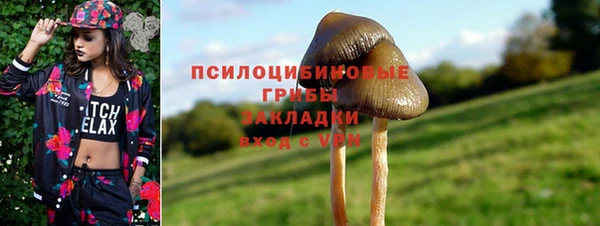 молекула духа Алексеевка