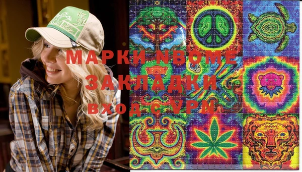 стаф Алексин