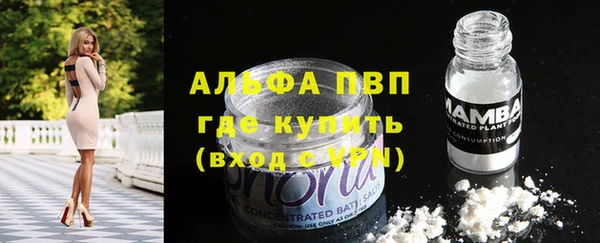 стаф Алексин