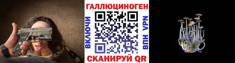 Галлюциногенные грибы Psilocybe  Кольчугино 